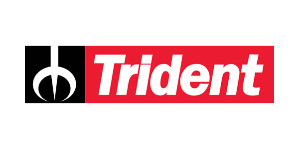 Trident Honda